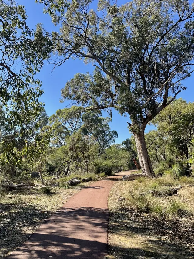 Scenic view of Craigie - NDIS Provider