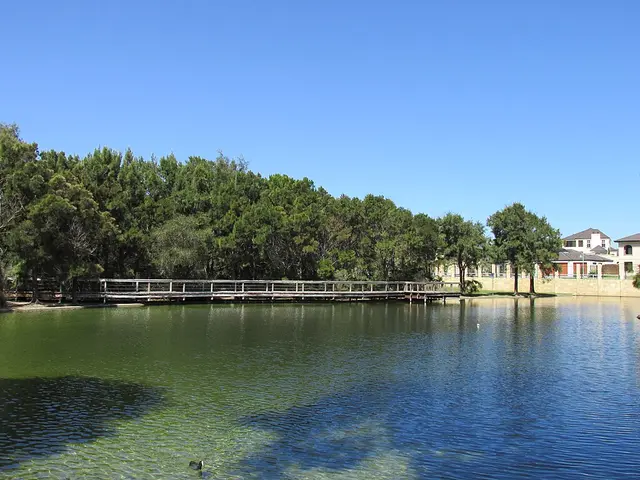 Scenic view of Iluka - NDIS Provider