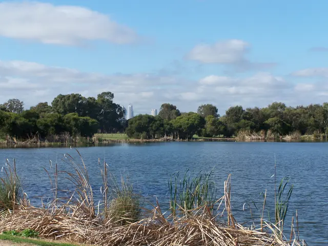 Scenic view of Churchlands - NDIS Provider